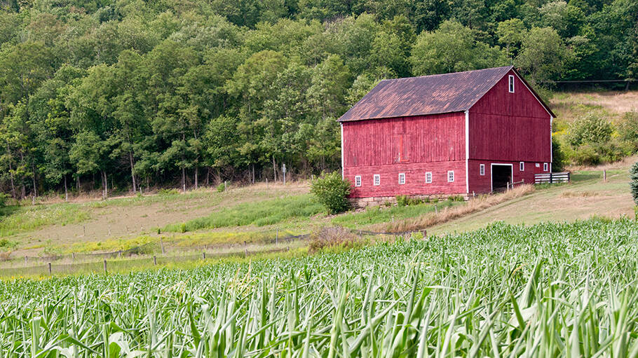 West Virginia